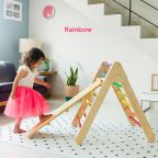 Reversible Wooden Ramp and Slide