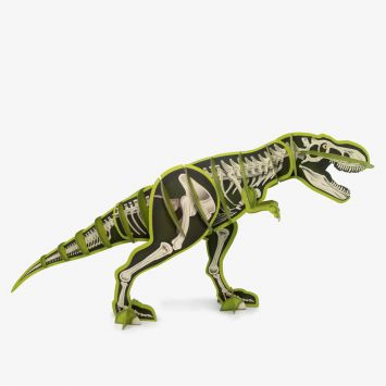 Giant tyrannosaurus best sale rex toy