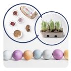 Easter Egg Coloring Kit with Grass Seeds