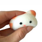 Squishy Salmon Sushi