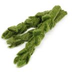 Felted Wool Asparagus