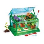 Greenhouse Kit for Beginners